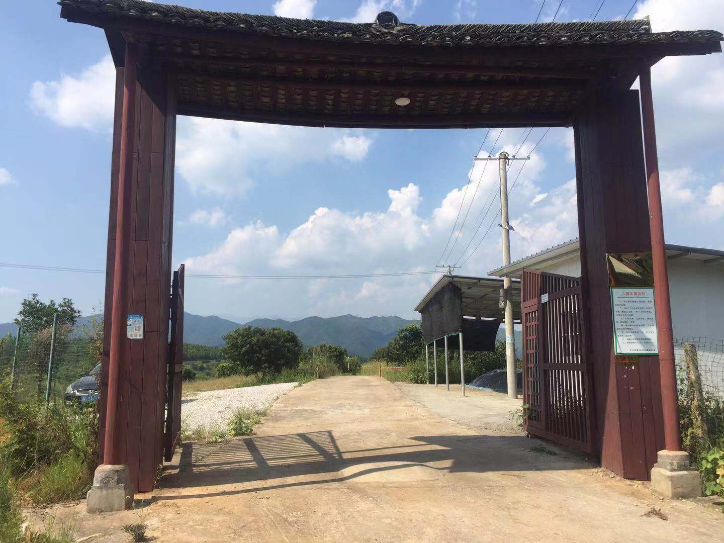 江西省萍乡市莲花县路口镇阳春杨梅基地