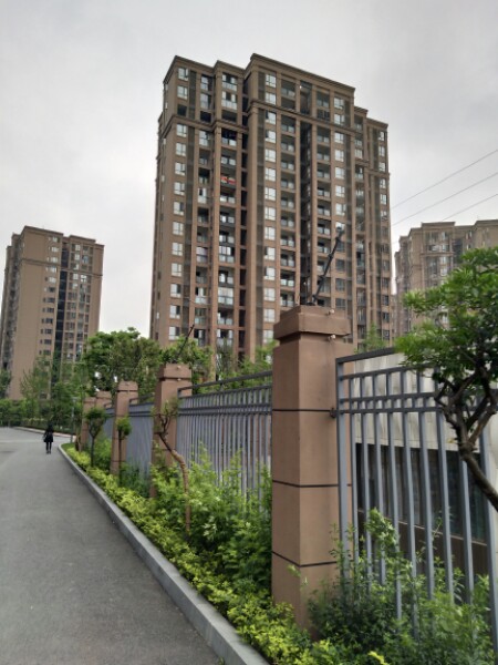绿的城