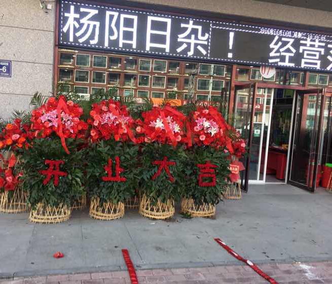 杨阳日杂家居酒店用品(辽西九华山小商品批发城店)