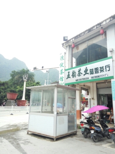 五韵茶业陆姐茶行