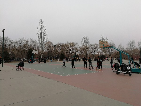 海宝公园篮球场