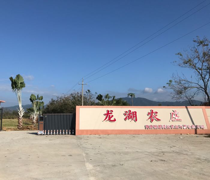 龙湖农庄-海南恒都美业