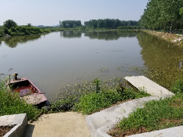 半店休闲垂钓场