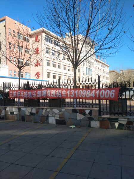 大连金洲新区先进乒乓球俱乐部