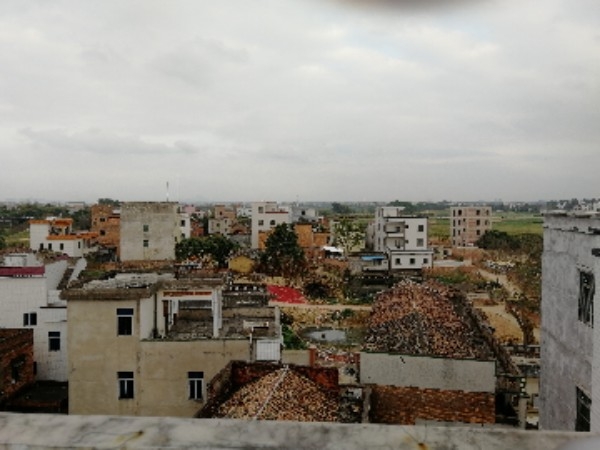 广东省茂名市高州市镇江镇上合丫村