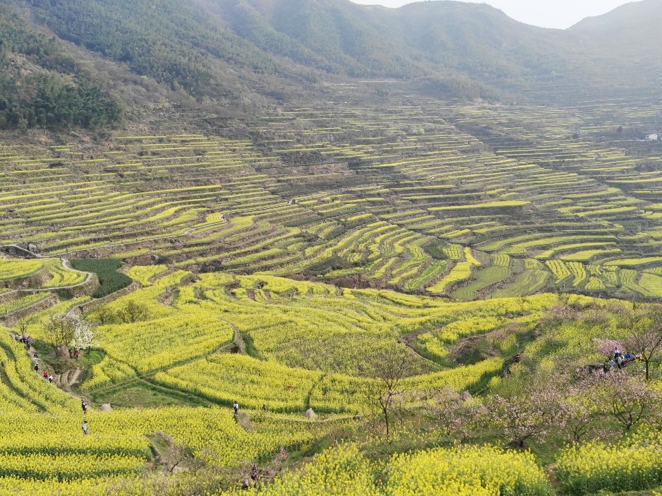 浙江省绍兴市上虞区岭南乡覆卮山东澄村