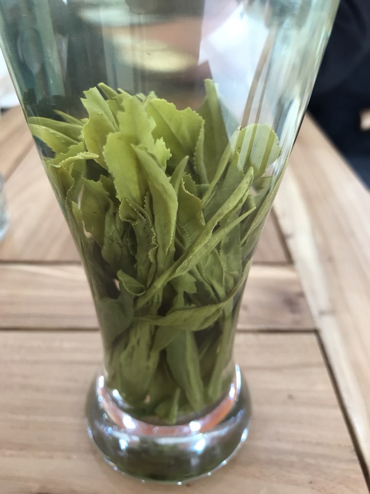 绿韵茶行