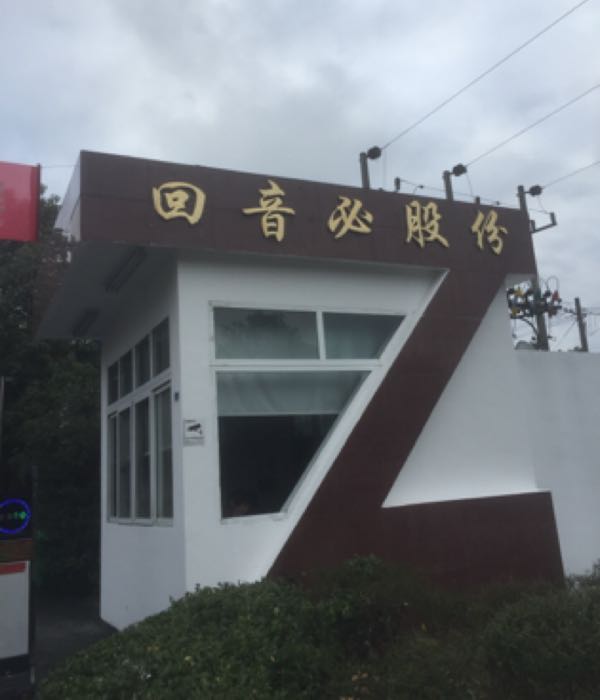 安庆回音必制药股份有限公司