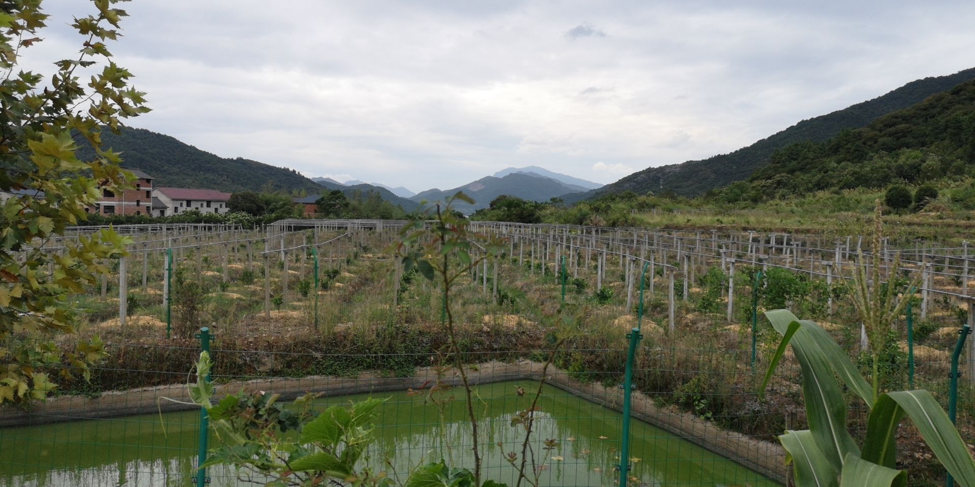 昌山县向山家庭农场