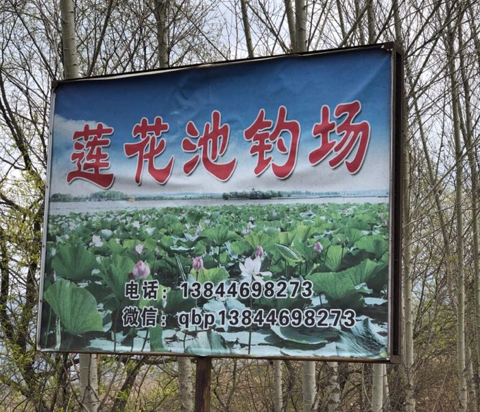 莲花池钓场