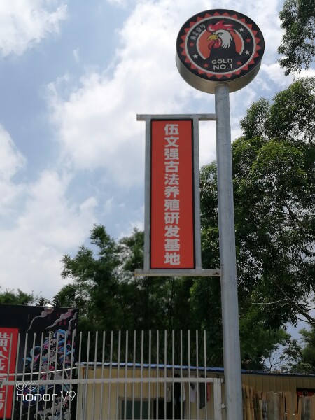 黄金壹号古法养殖基地