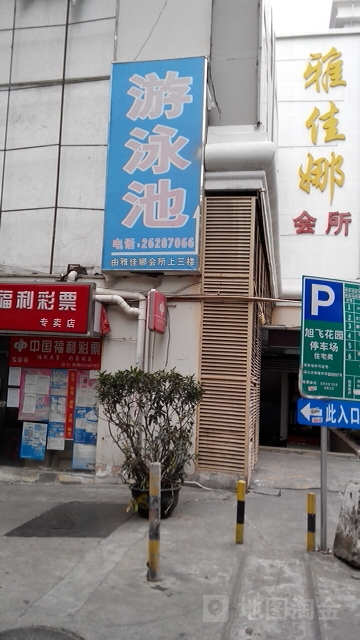 旭飞游泳池