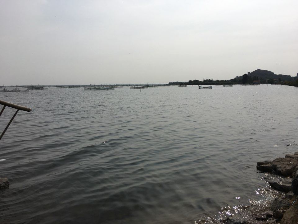 渔人码头垂钓露营极地