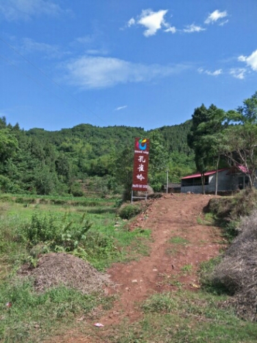 四川省眉山市仁寿县视高街道红沙村5组