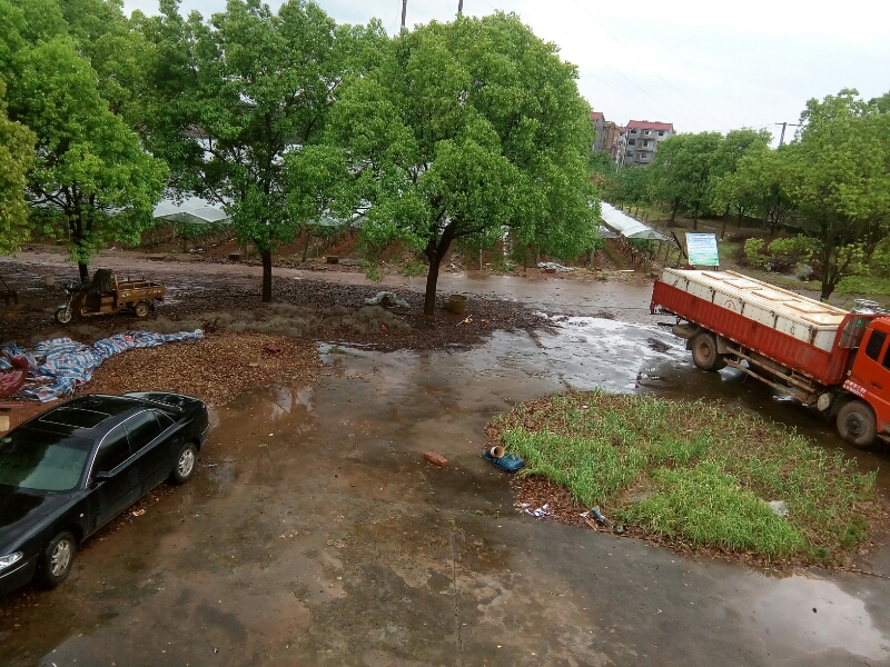 江西省鹰潭市月湖区童家镇化溪村委会旁