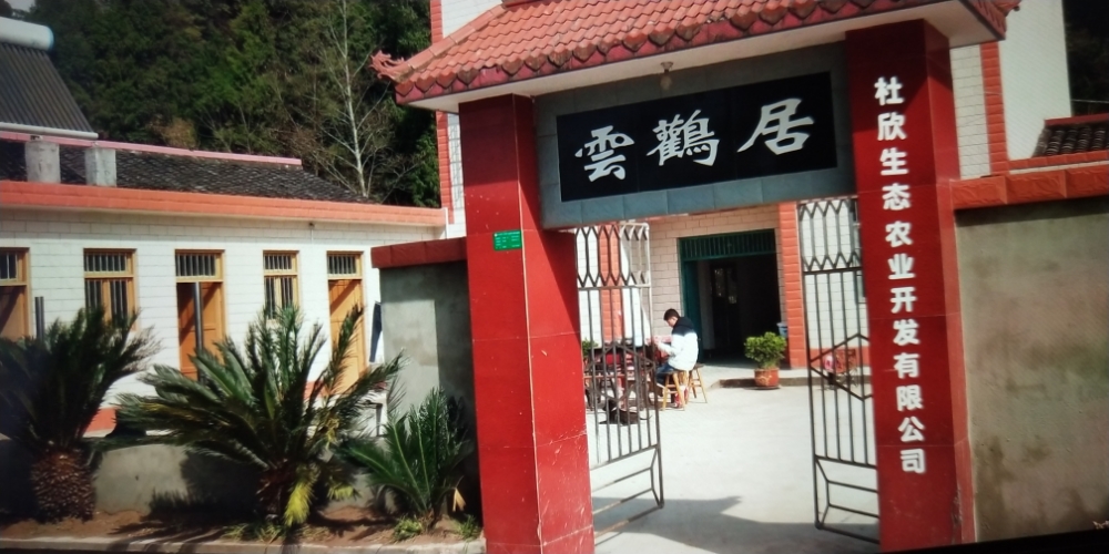 盐亭县杜欣生态农业开发有限公司