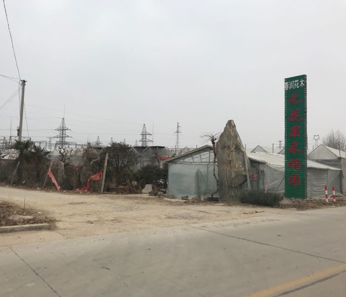 春润花木无花果摘菜园