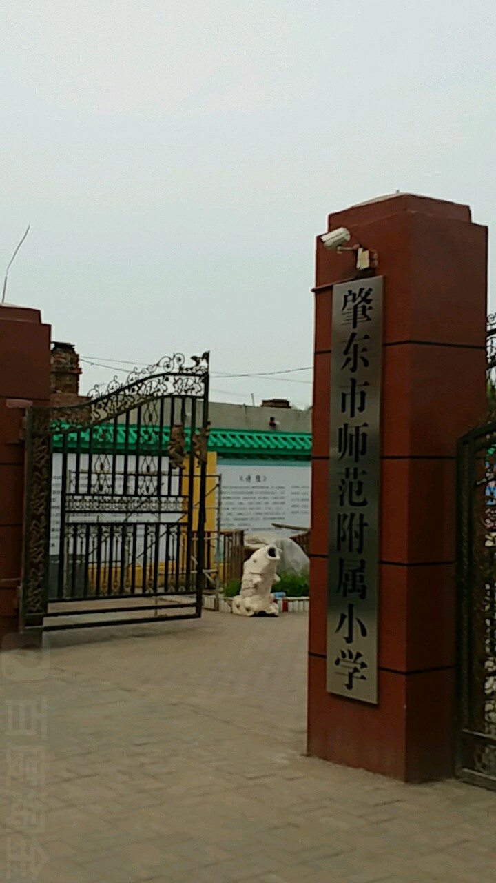 黑龙江省绥化市肇东市师范街师范附小(肇东师范北50米)