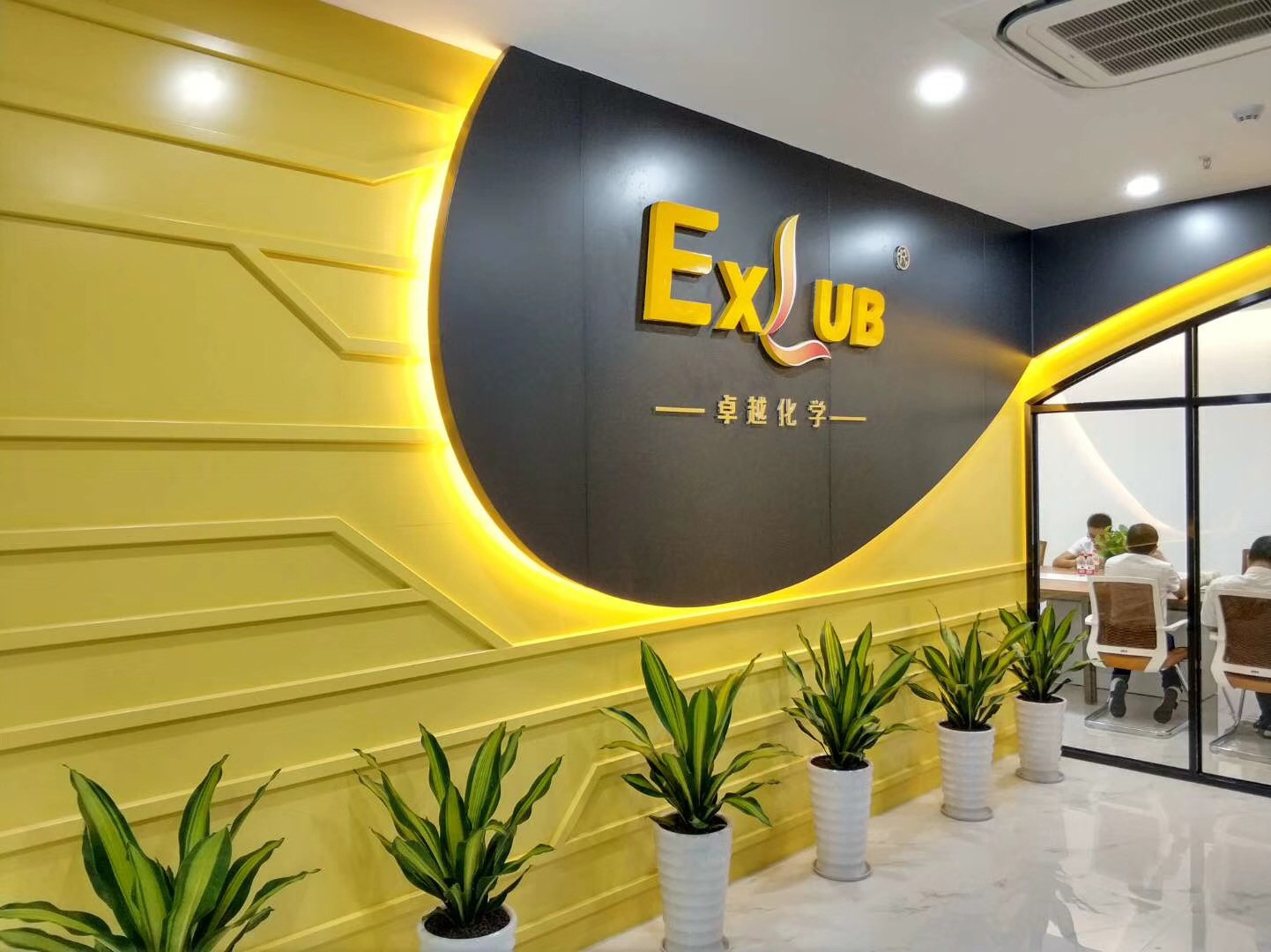 东莞市卓越化学科技有限公司