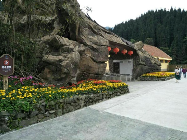 龙苍沟镇