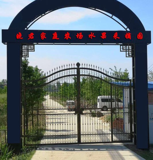 晓君家庭农场水果采摘