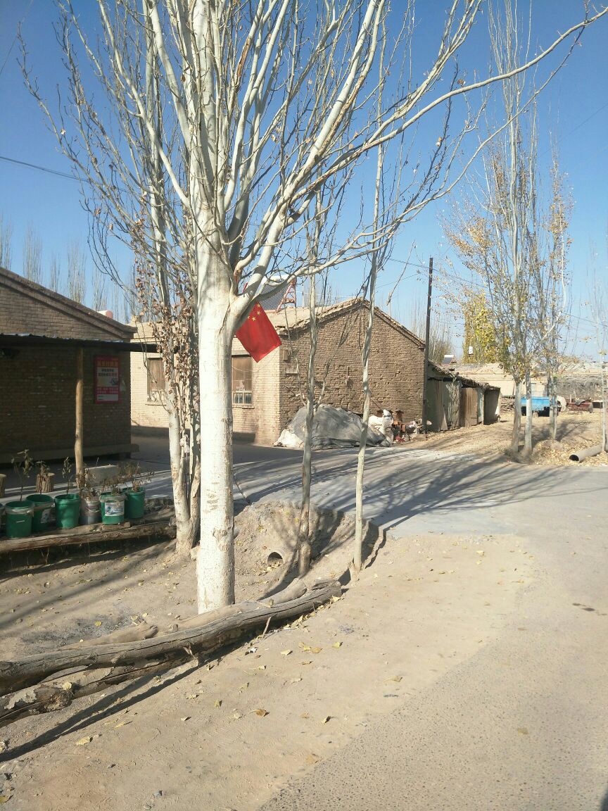 新疆维吾尔自治区阿克苏地区阿克苏市