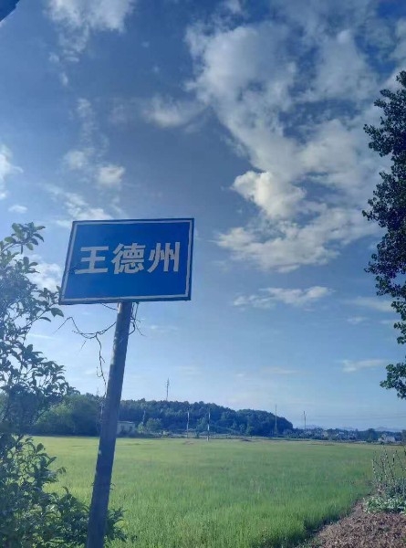 王德州湾