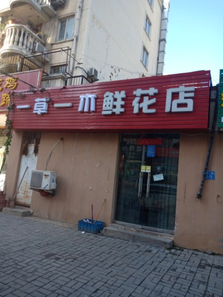 郑州经济技术开发区九龙镇一草一木鲜花店