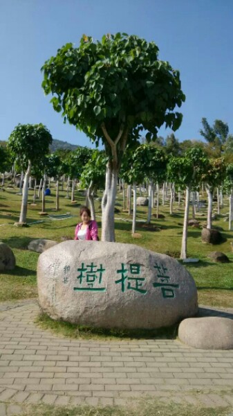 海南省三亚市天涯区