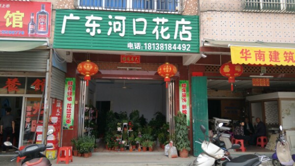 广东河口花店