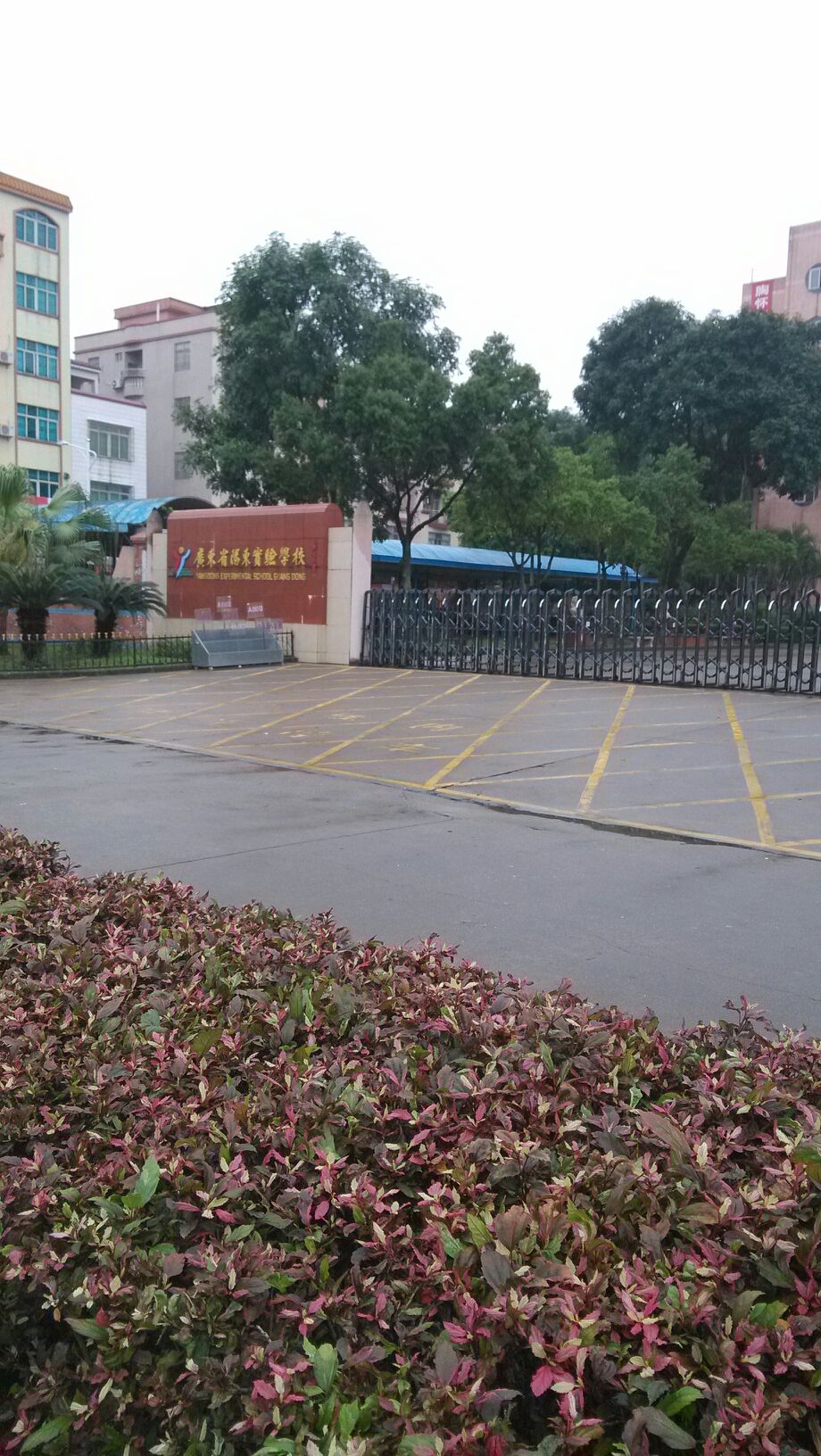 广东省阳东实验学校