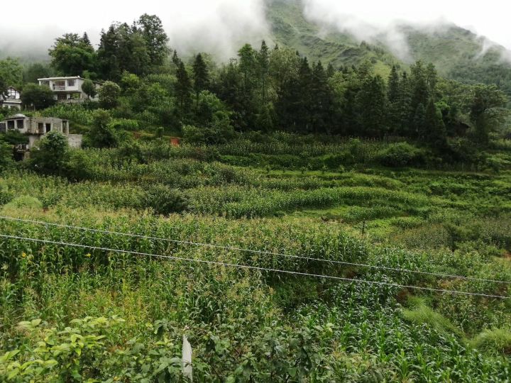 毕节市赫章县