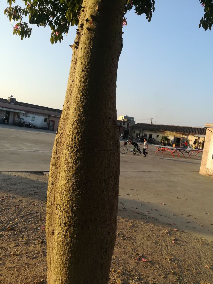 前洋村篮球场