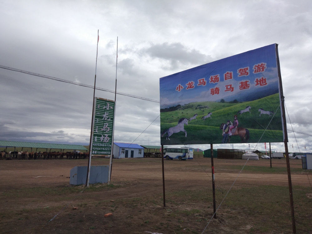 小龙马场