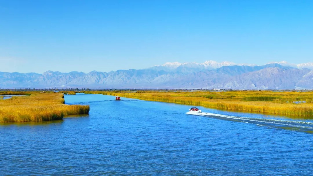 金山湾