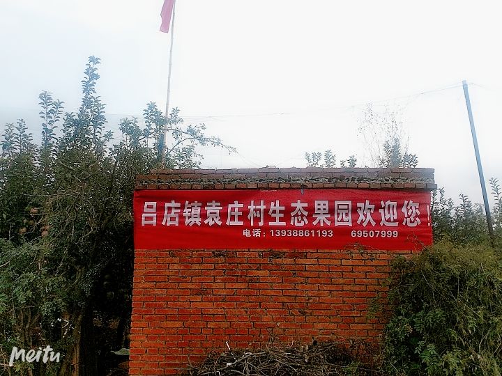 袁庄村生态果园