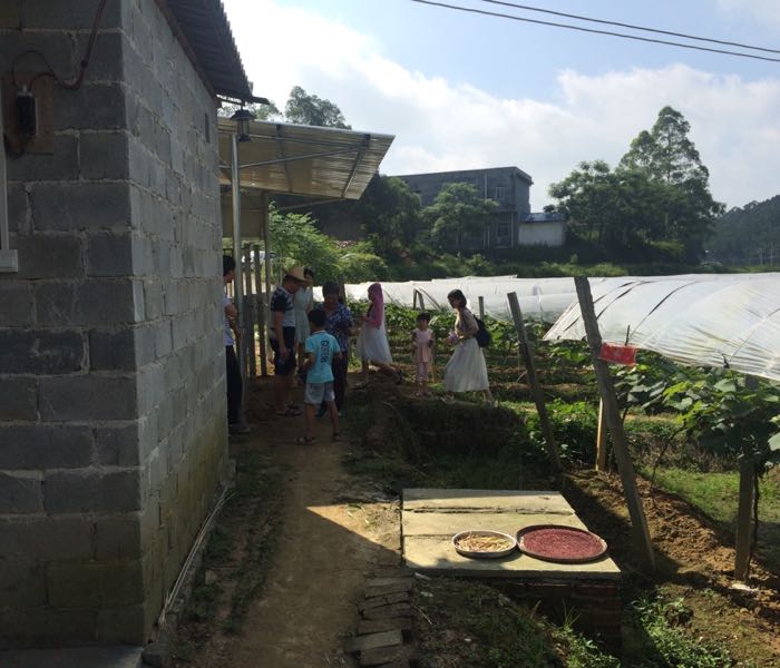 广东省茂名市化州市文楼镇岭咀村