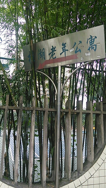 桂湖老年公寓游泳池