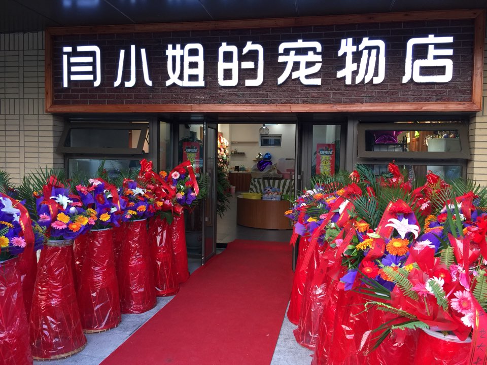 闫小姐的宠物店