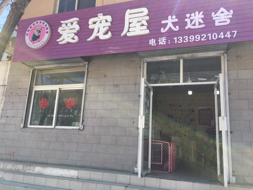 爱宠屋家养繁殖犬迷舍