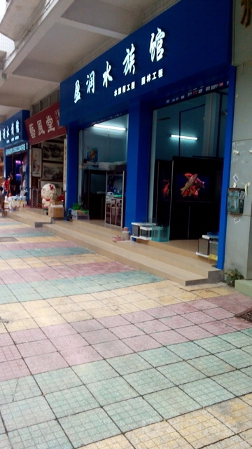 盈润水族馆(潮江路店)