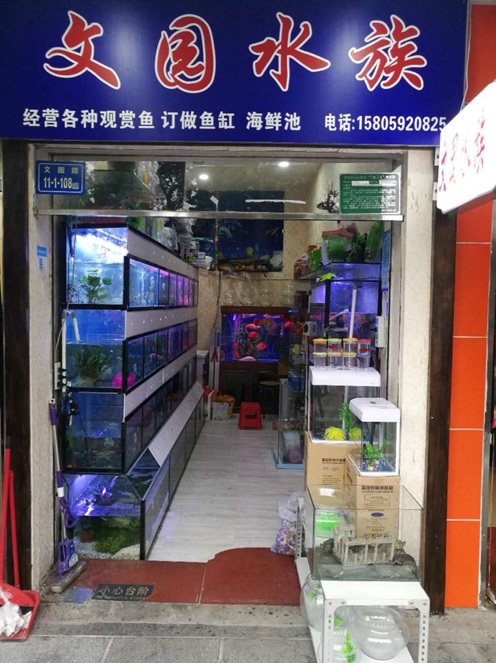 文寓水族馆