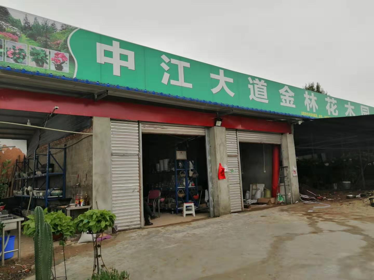 中江大道金林花木园艺