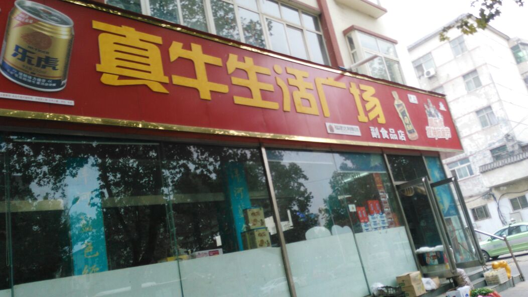 新郑市真牛生活广场(龙安公寓店)