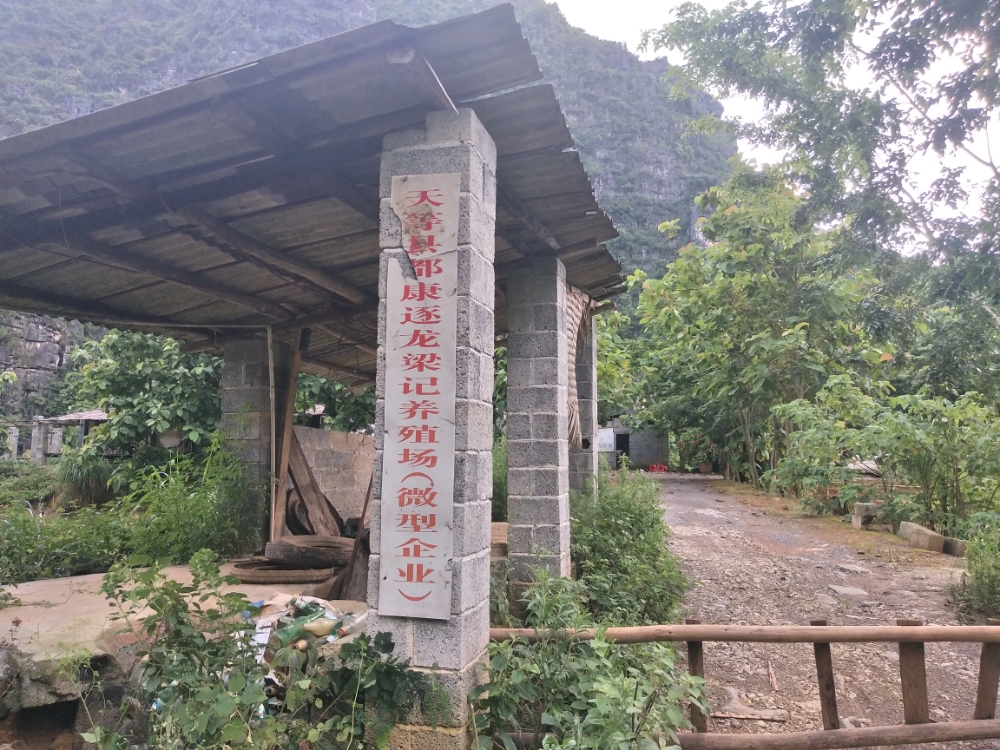 广西壮族自治区崇左市天等县都康乡逐龙村百钦屯