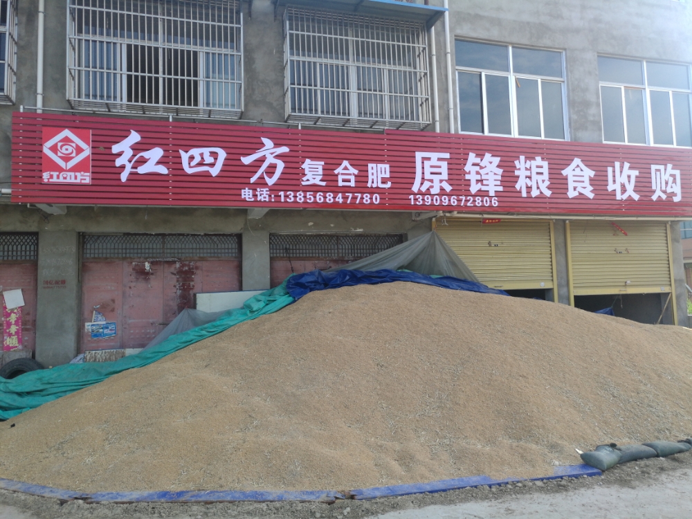 原锋粮食收购