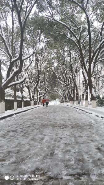 吉首大学(张家界校区)