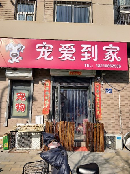 宠尤到家宠物店