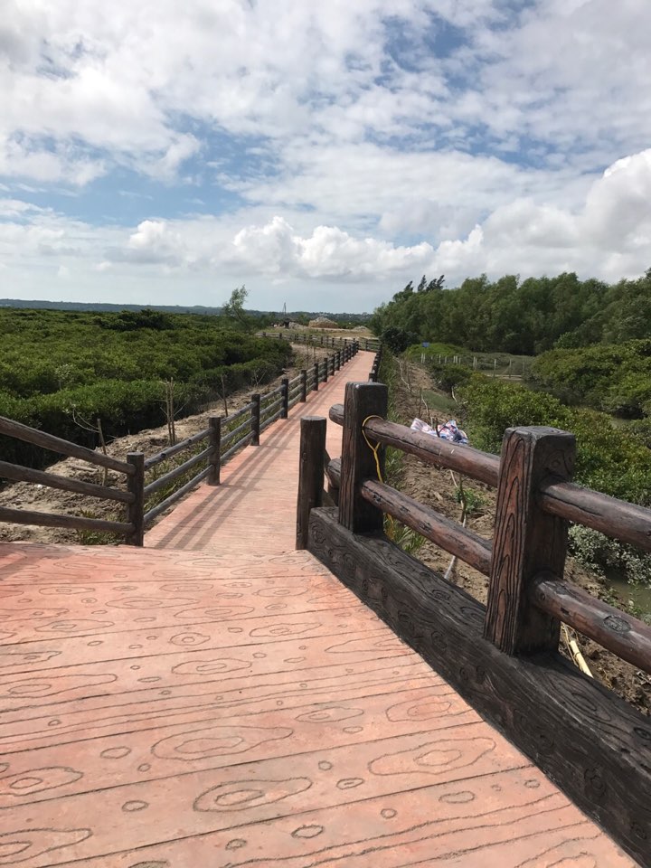 湛江市廉江市高桥镇红寨村委会山脚村