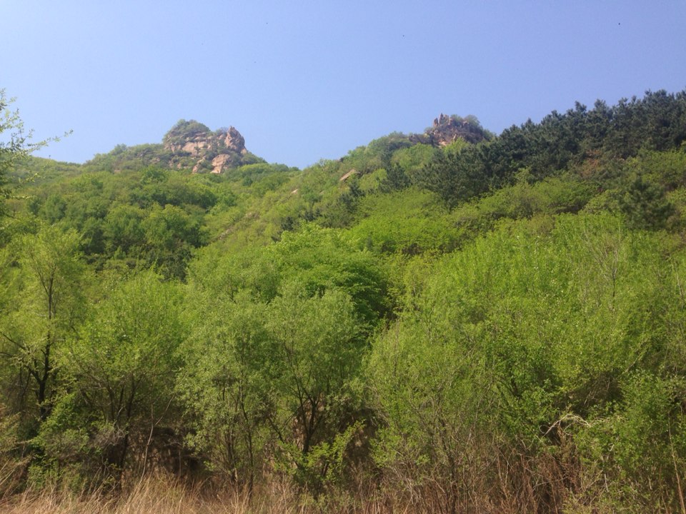 辽宁省葫芦岛市建昌县杨树湾子乡河东村